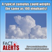 cumulus-cloud