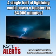 one-lightning-bolt-toaster