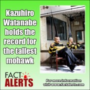 worlds-tallest-mohawk
