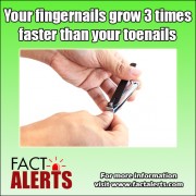 Fingernails grow much faster than toenails